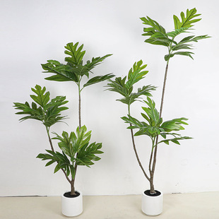 ����ֲ�������ʮ�󹦄��쾰���ԾGֲ�҃��b٘����