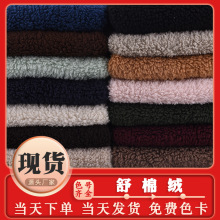 现货批发 舒棉绒 300g全涤植棉绒棉花绒北极绒布料 服装玩具面料