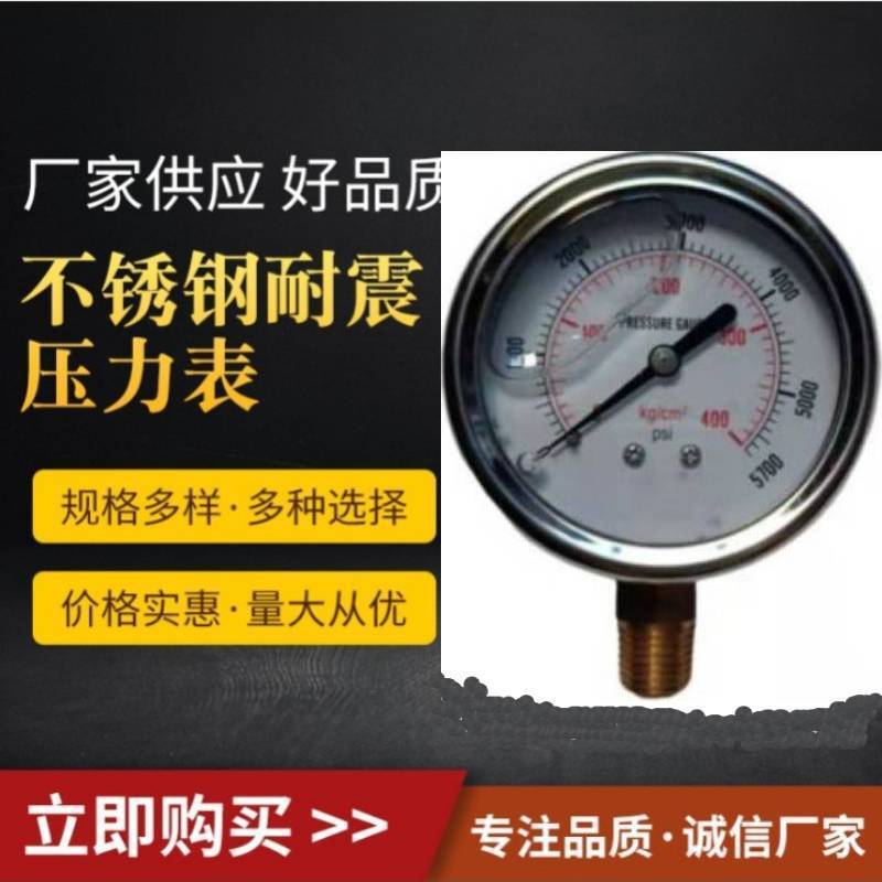 Y60 Shock-Resistant Pressure Gauge Seiko High-Precision Radial Axial Shock-Resistant Pressure Gauge Cross-Border High-Pressure Stainless Steel Oil Gauge