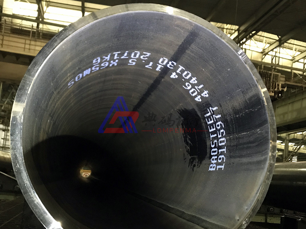 喷码机 钢管内壁喷码机 大字符喷码机