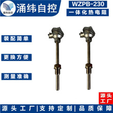 �Ϻ�ӿγ    WZPB-230  һ�廯�ȵ���