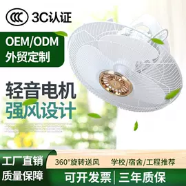 电风扇;其他生活电器;家电用电动机