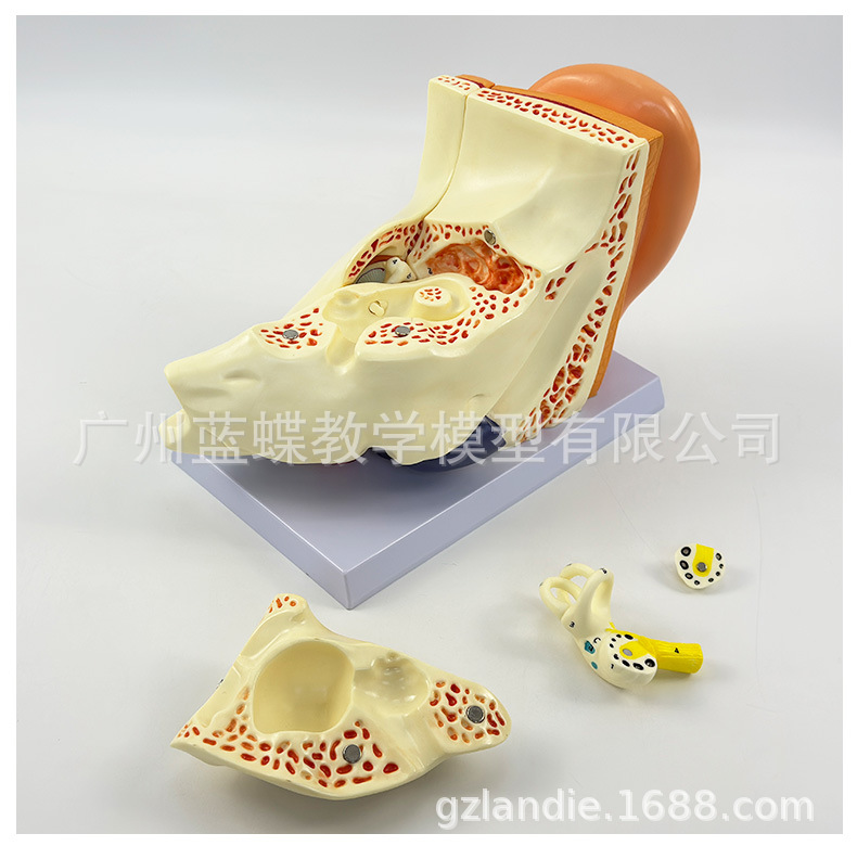 详情 (24)