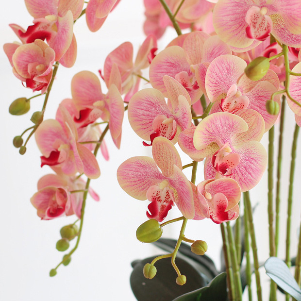 Phalaenopsis flor artificial sensación avanzada orquídea pantalla flor sala de estar mesa de comedor entrada decoración de la boda decoración floral