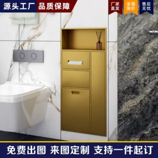 不锈钢垃圾桶壁龛卷纸抽纸巾盒嵌入式马桶卫生间浴室柜置物架
