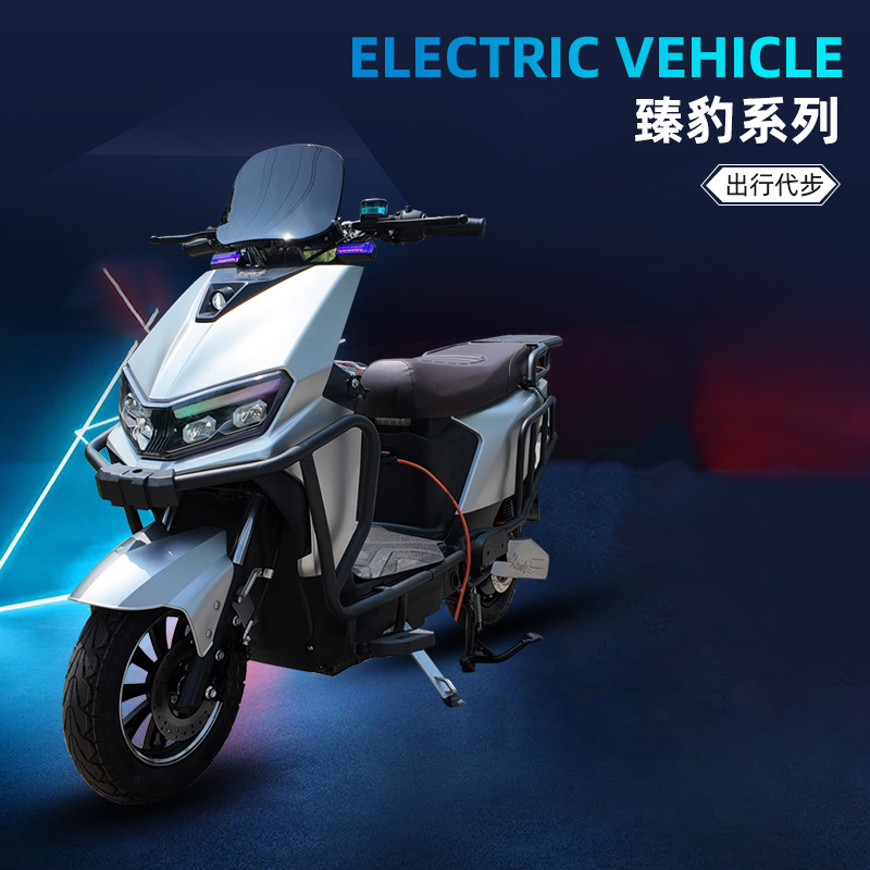 Importación y exportación en el extranjero ciclomotor scooter vehículo eléctrico unisex coche de batería universal bicicleta eléctrica especial transfronterizo