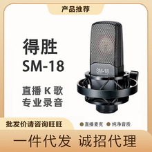 得胜SM-18电容麦克风话筒声卡套装抖音直播设备全套手机电脑录音