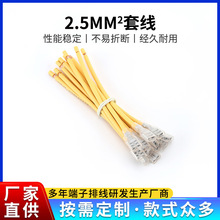 �S�����l2.5mm&sup2;�׾� �ߜض��Ӿ����� ���^�B�Ӿ�늳�朽Ӿ�