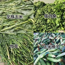 �r�a8���i�l�������ˮ���߲�β�˹Ϲ������{�C���ݽն�����C