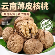 新货云南薄皮生核桃薄皮核桃带壳原味散装批发坚果零食核桃