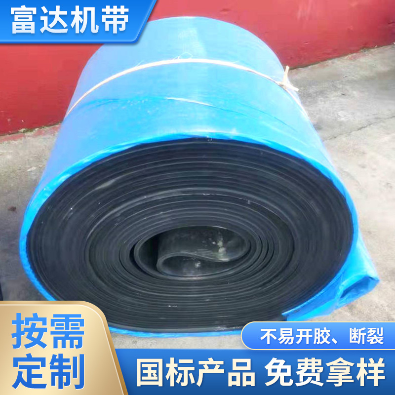 厂家供应尼龙输送带 环形输送带耐高温运输带输煤机皮带输送带