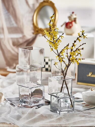 Light luxury glass transparent hydroponic flower arrangement living room table decoration ornaments creative special-shaped misaligned square vase