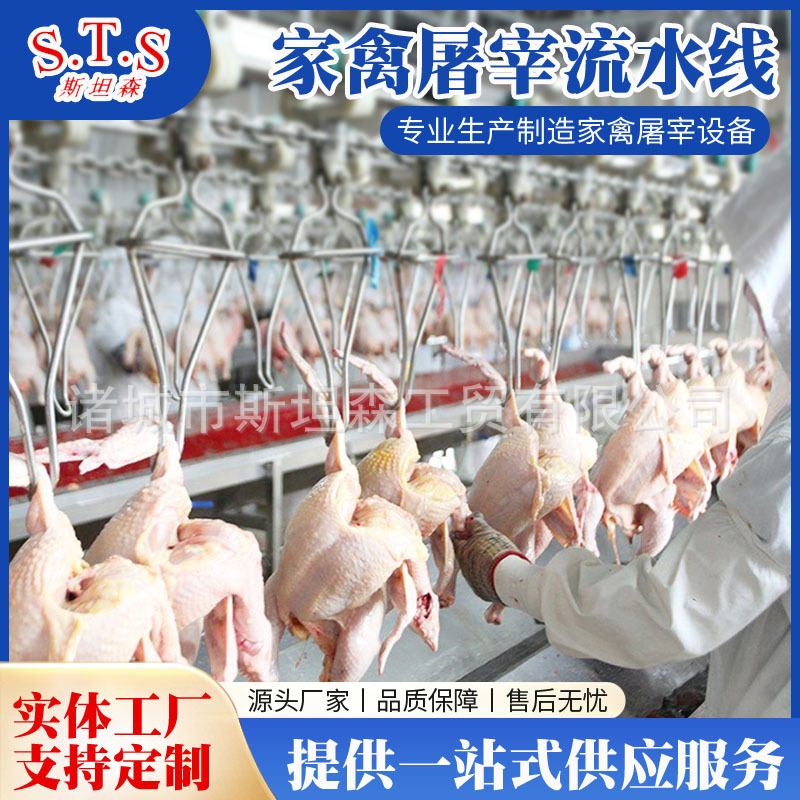 专业设计安装调试家禽屠宰设备 鸡鸭鹅家禽宰杀流水线设备生产厂