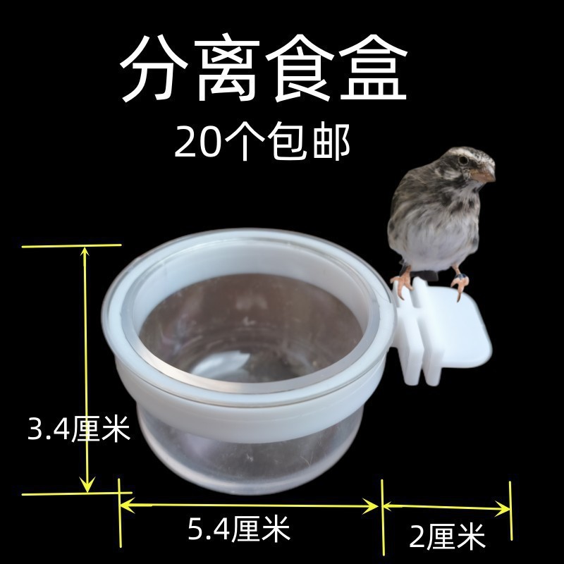 鳥用ソフトフードプレート、フードボウル、分離フードボックス、翡翠鳥、ハイビスカス鳥、カナリア、ゴールデングリーンアッシュスワロー、シスターズバード、オウム|undefined