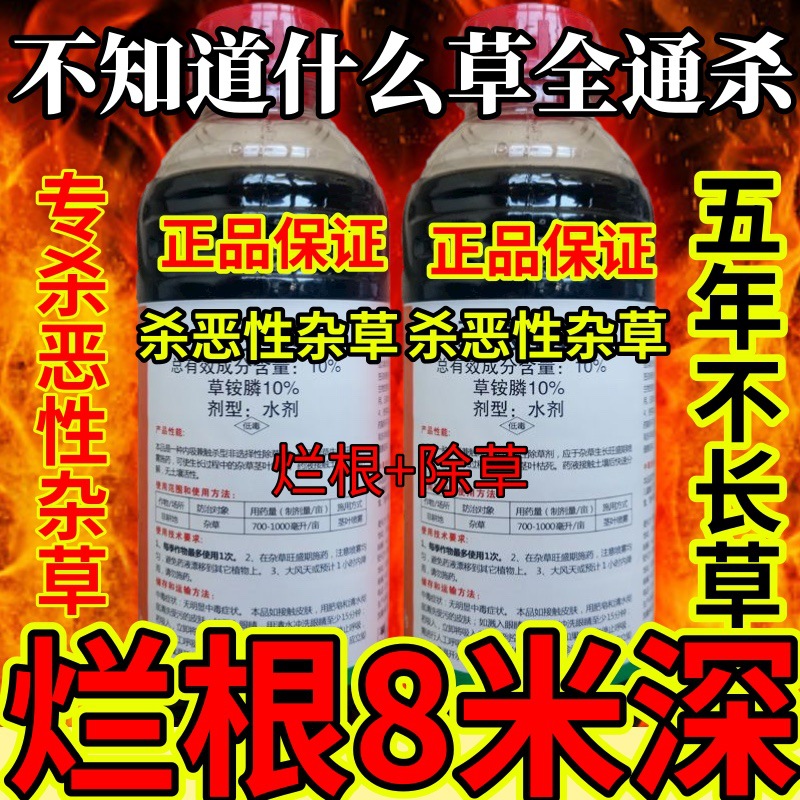杀草快高浓度精草铵膦铵盐果园小飞蓬各种杂草不知道什么草全通杀