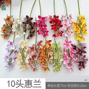 10�^ޥ�m ��֦���m �̈�����b[���廨�ٻ� �Ҿ��b�������