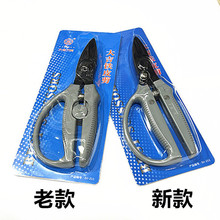 ����FƤ�����F�z���F�W��Ӳ���ϼ�������컨�p���Ǽ���