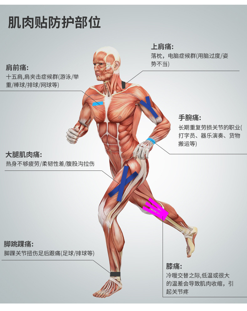 四面弹新_09.jpg