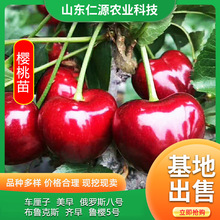 ���Ҙ��m�F؛���l�Ϸ������Nֲ����ͥԺ���䰫�����Ҙ�������