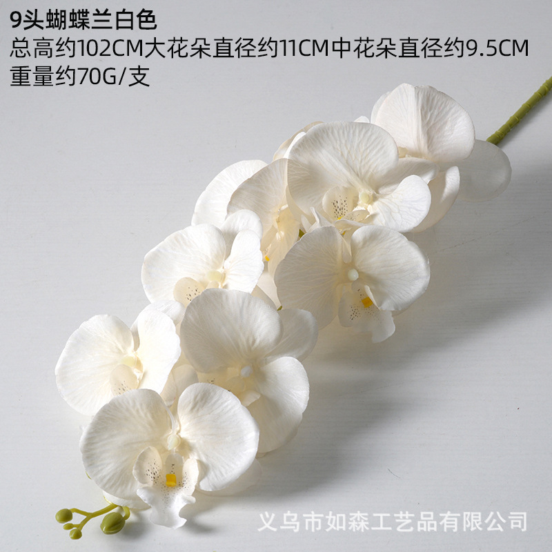 9 piezas de seda Phalaenopsis beige