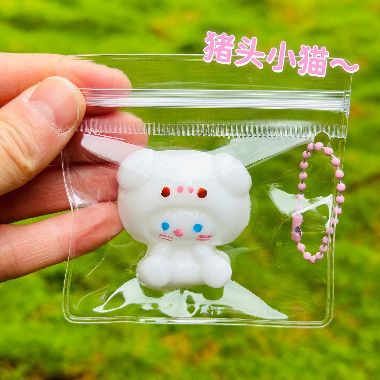Pig-headed kitten with a small nose