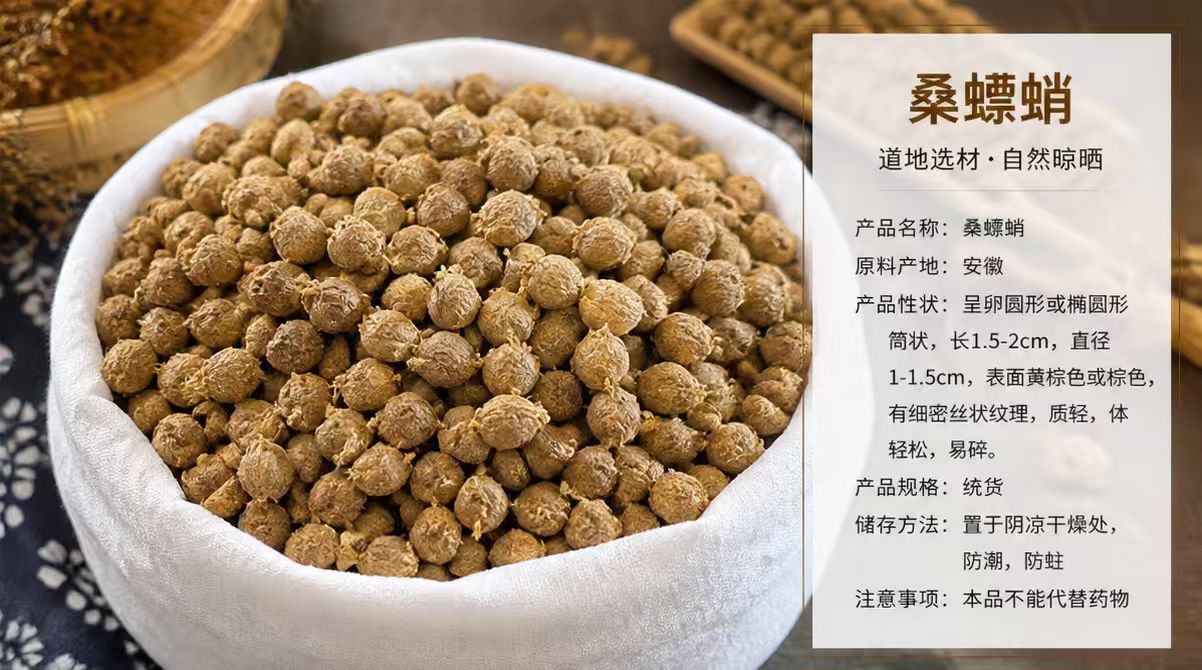 Dried Mantis Egg Case Sang Piao Xiao 桑螵蛸 TCM Herb for Wine Infusion and Decoction Sun Dried Anhui Origin key features