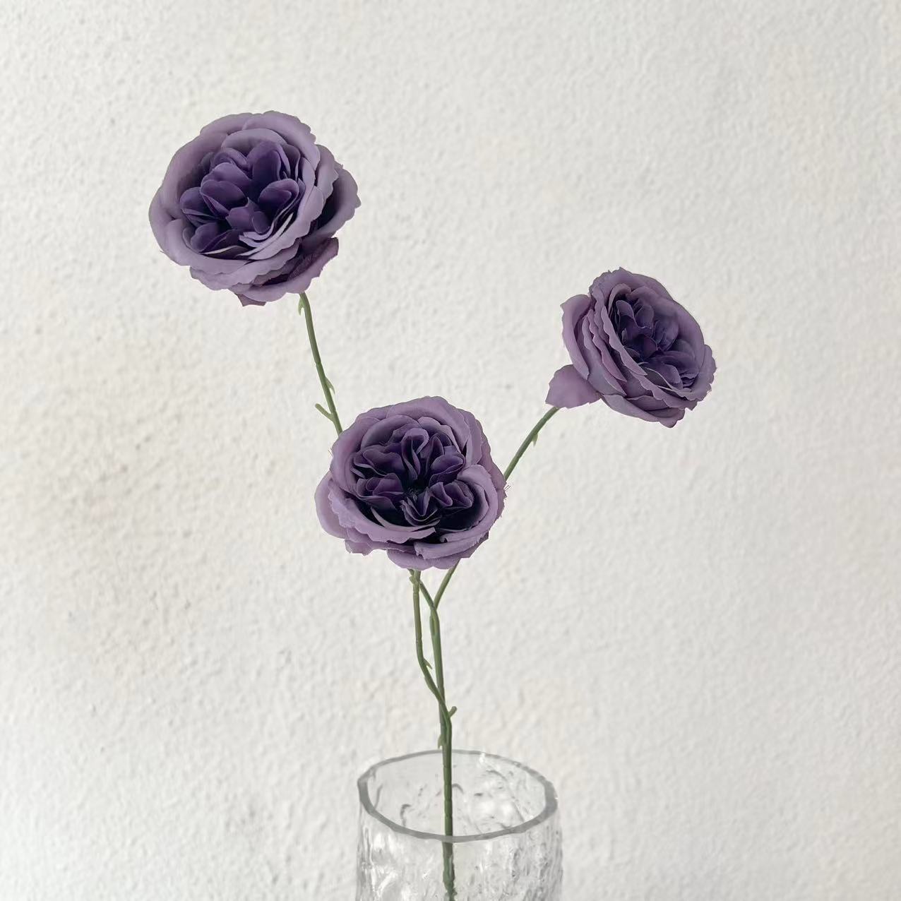 Austin jr., de 3 cabezas, morado oscuro