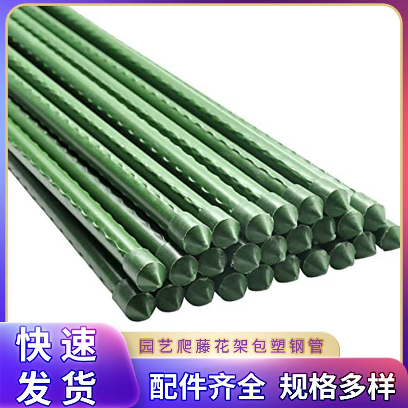 Трансграничные растения помидоры восхождение на виноградную лозу зимой на открытом воздухе садоводство огурец фасоль восхождение на ротанговую стойку