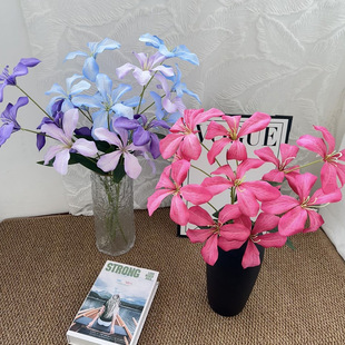 ��������m���ٻ��Ҿӿ͏d�b���c·���Ƶ�zӰ�Ĕz���߻����l