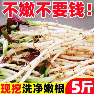 �۶������r�~���i�ǿ׮���Ұ�߲���ѿ�۸��~�F�ݛ�����˼�ʳ