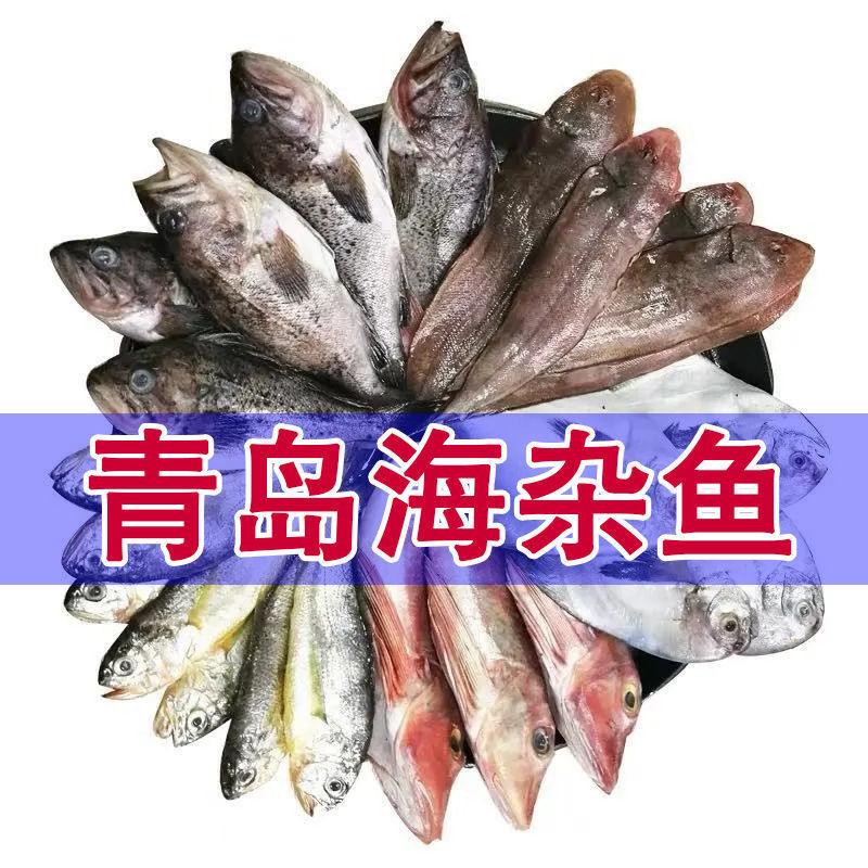 青岛海杂鱼多种混搭新鲜海捕海鱼鲳鱼米鱼黄花鱼鲅鱼红头鱼红娘鱼