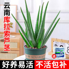 �������J�C��������Ժ�J�C���҃Ⱥ��B�Gֲ���w�aˮ��ʳ�û���ֲ��