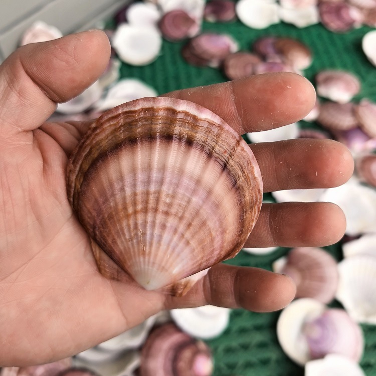 MTXX_20250420_122607868