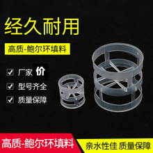 �΃r�������N�U������PP�����U���h����Ҏ�����l�h�����Ͽ���