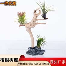 ΢^՚Pֲ֧ƶN~쾰bĪ˹l