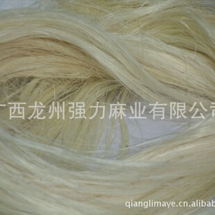 �����w�S������z���켈�Ä����w�S����z����ˢ�z