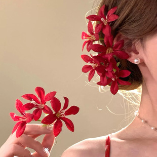 2026�¿�_���r���ɼtɫ����l���l�Ů��߅�ȼ��L�^���^�