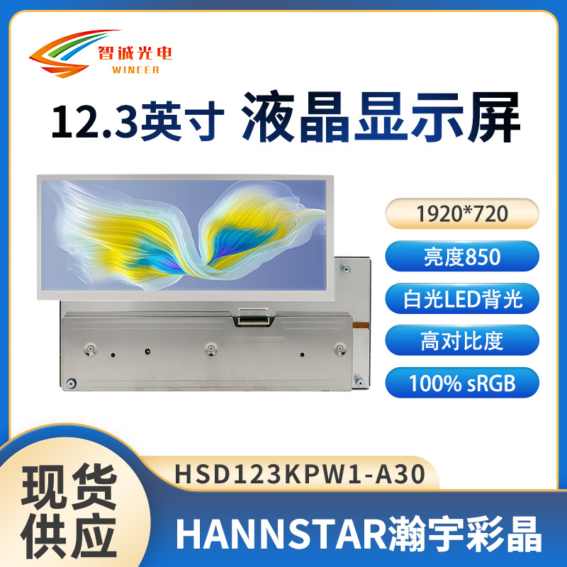 12.3inch Lcd Display 1920*720 Central Control Car Module Hancai Lcd Screen Hsd123Kpw1-A30