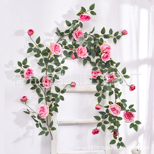 �ٻ���õ�廨���ٗl�������������ړ��҃ȵ���p�@�b���c