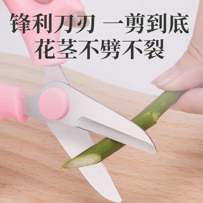 园艺修枝剪多功能家用不锈钢剪刀花艺师花店盆栽鲜花剪园林小工具|undefined