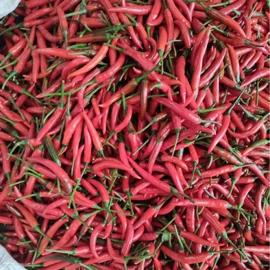 其他药食同源;普洱茶;花果茶