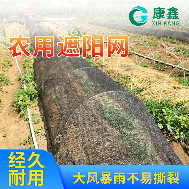 黑色遮阳网菜地加密加厚防晒网防老化大棚网农用遮阴网庭院太阳网
