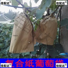 葡萄袋子防虫纸袋子纸套袋巨峰防病纸袋遮光病害套袋防污复合污染