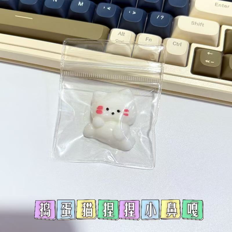 장난꾸러기 고양이