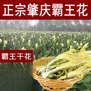 �������ɏV�|�ؑc�a�ذl�������Ǆ����Ҝ������а���NҎ��