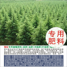 1-50斤誉中奥雪松专用有机肥复合肥底肥追肥叶面肥冲施肥水溶肥