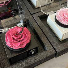 ���l������õ�����C���������˹��Y��o��������Ů���ф���Y��