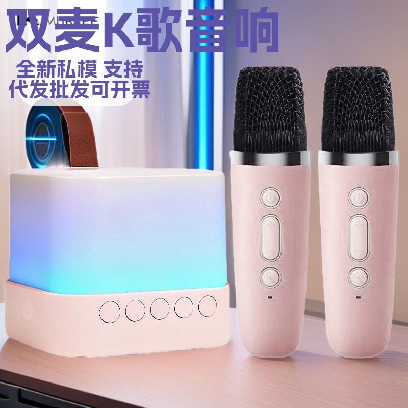 Popular Private Model Y27 Bluetooth Wireless Speaker with Microphone, Portable Karaoke All-In-One Machine, Can Insert Card and USB Flash Drive for Voice Modification
