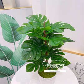 假花绿植盆栽墙面装饰仿真植物叶子背景墙插花配材绿萝叶龟背叶