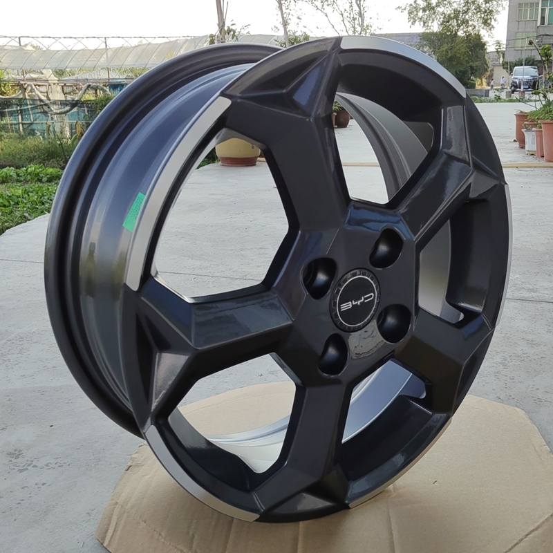 Suitable for Byd Su Rui Qin Dolphin Modified Seagull Hub Wheels